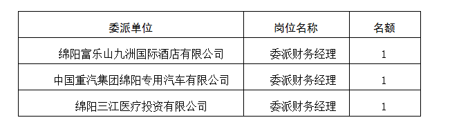 委派财务经理5.11
