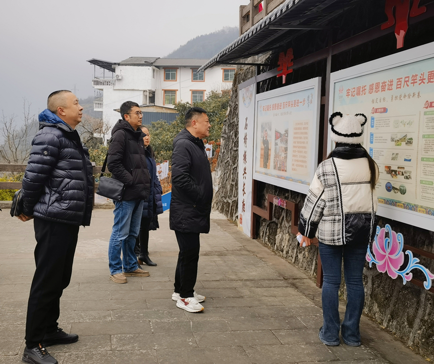 图片1 图片1